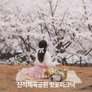 신석체육공원 입구 | 인천 신석체육공원에서 즐기는 벚꽃놀이 피크닉