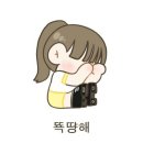 졍 Daum카페