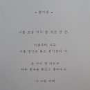 벨리나