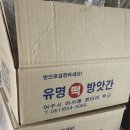 술 벌레의 하루