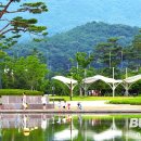 스포원파크가족산책공원 Daum카페