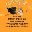 우리동생 동물병원 이미지