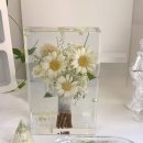 구미중앙로-13 이미지