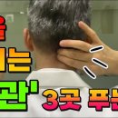 머리띵 이미지