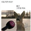 선산5길 | 10月 上旬 ̥ﾟ🍂.⋆