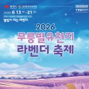삼화오토바이 | 2026 무릉별유천지 라벤더축제 완전 정복 / 완벽 가이드: 야간 22시까지 · 스카이글라이더·루지 총정리