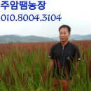 신대농장 이미지