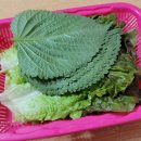 지에스25 광산오피스점 | 광주 송정동 ktx 광주송정역 맛집 '서울곱창' 인생 숯불곱창 후기 (백종원의 3대천왕 출연)