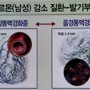 하나열쇠 이미지