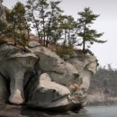 산사랑273차 정기산행.완도금당도 이미지