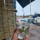 양양 솔바다 캠핑장 네이버블로그
