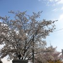 흥양초등학교 이미지