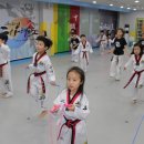 용인대중앙태권도 이미지