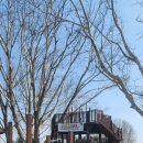 탄금공원 이미지