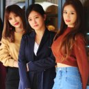 우정 동물병원 이미지