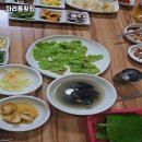카카오 이미지