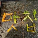 고기를사랑하는집김포고집