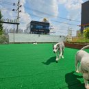 땡글땡굴 이미지