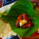 돼지전설 이미지