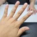 치라다네일 이미지