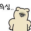 애견취향 이미지