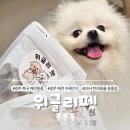 (11/17)반려동물 수제간식 멍김밥 | 광주 북구] 반려동물용품&amp;수제간식 반려인이라면 저장 필수!! 위글리펫 용봉점 🐶🤎