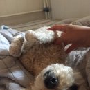 봉구세차장 이미지