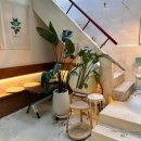 봉산동 강아지 | [ 대구 봉산동카페 ] 케이크오예 / 귀여운 강아지가 있는 대구 케이크 맛집