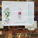 보떼아르 이미지