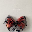 리본샐러드 이미지