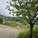 구병마을 | [BAC100] 충북 보은 구병산 최단코스 1코스 후기