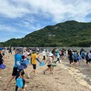2025 하동 섬진강 재첩축제 완벽 가이드! 날짜·장소·프로그램까지 총정리🎉🐚