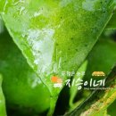 지승농장 이미지