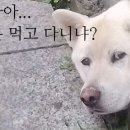 육해공생칼국수 이미지