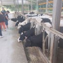 드림목장 이미지