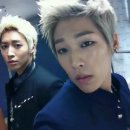 더 베스트 이미지