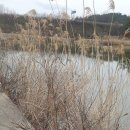 연하곡지 이미지