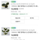 농업회사법인 농원바이오 이미지