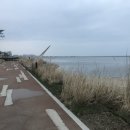 씨 사이드 뷰 이미지