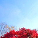 untitled 이미지