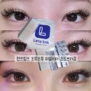 렌즈타운남포점 | [렌즈링크] 클라렌 오투오투 미셀리아 뮤트브라운 / 쿨톤 솔직후기