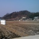 고유공동법률사무소