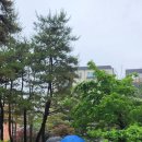 우산들이 걸어가네. 이미지