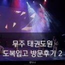 예전태권도 | 무주 태권도원 방문 후기 2, 태권도 공연 시간, 순환버스, 모노레일 요금, 전망대, 무주 읍내 구경