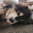 화랑게스트하우스 이미지