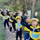 숲속의유치원 이미지