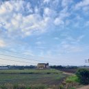 대정 골드빌라스 풀빌라 대가족숙소 이미지