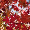 오감만족 이미지