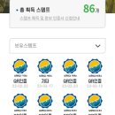 신양대교(하)