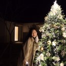 화담별서